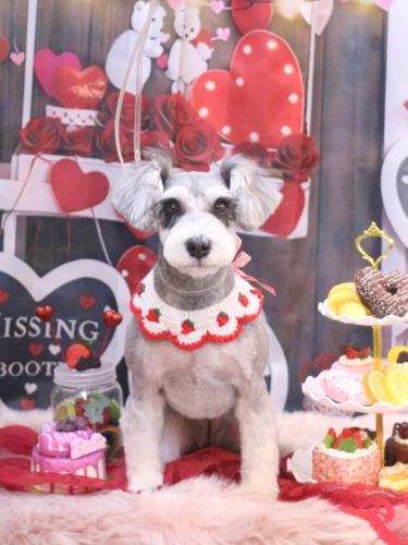 20250208ふたばちゃん